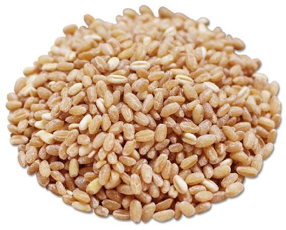 Organic Natural Wheat Seeds, Certification : FDA Certified