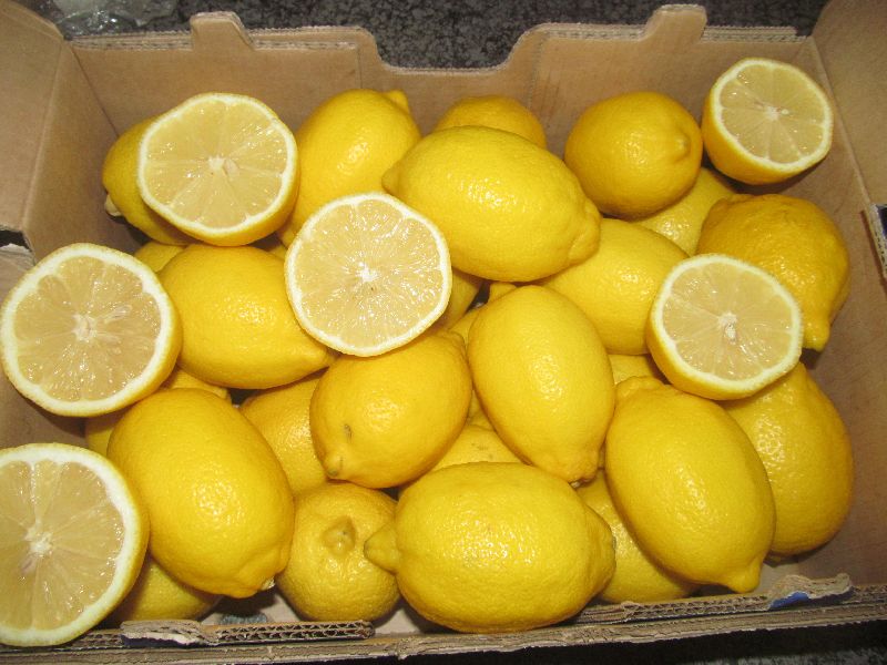 fresh lemon