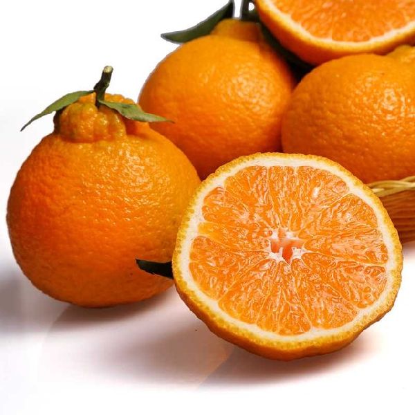 Organic Fresh Navel Orange, For Health Benefits, Packaging Type : Plastic Pouch