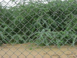 PVC Coated Chain Link Mesh Fence, Color : Silver