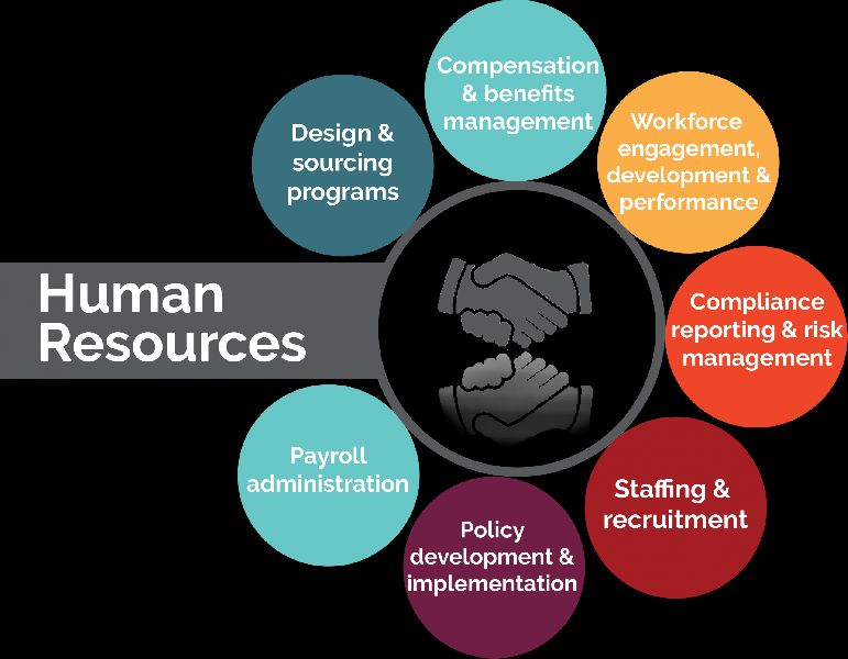 Human Resource Outsourcing Services - Trans Gnx, Chennai, Tamil Nadu