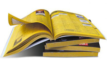 Yellow Pages &amp; Directory Portal Development