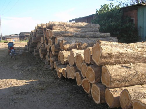 Unique Overseas Teak Wood Logs, for Furniture, Doors, Flooring