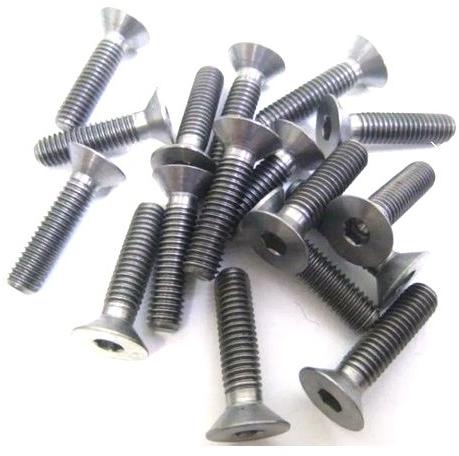 Polished Stainless Steel Bolt