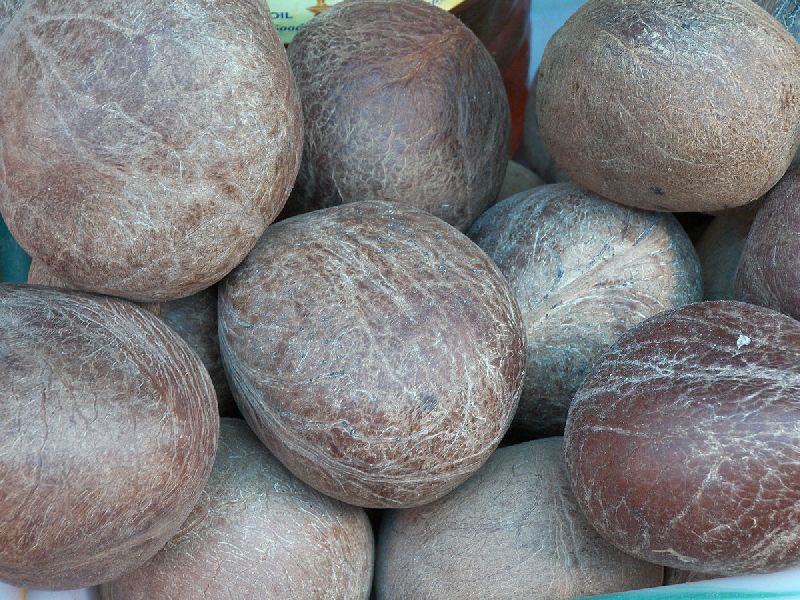 Hard Organic dried copra coconut, Color : Brown