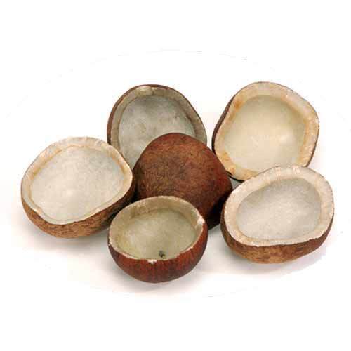Hard Common Organic Copra Coconut, Color : Brown