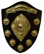 Brass Shield