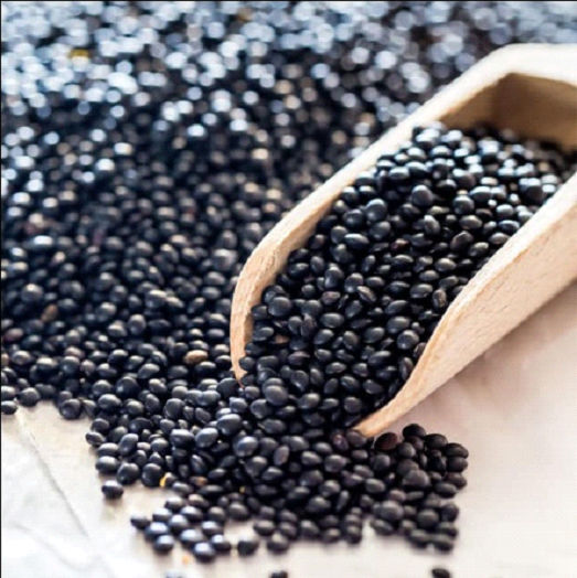 Black Masoor Dal by Trariti Import Export Private Limited, Black Masoor