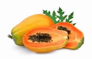 Organic fresh papaya, Shelf Life : 1week