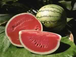 Cylindrical Organic Fresh Watermelon, Color : Dark Green