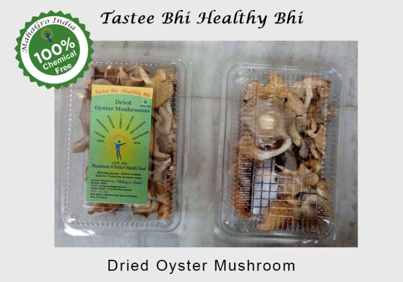 Organic Dried Oyster Mushroom, for Cooking, Packaging Type : Plastic Bag, Polythene Bag