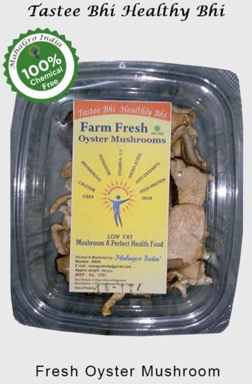 Organic fresh oyster mushroom, for Cooking, Packaging Type : Plastic Bag