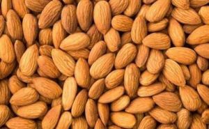 Hard Organic Almond Nuts, for Milk, Sweets, Packaging Type : 10kg, 20kg