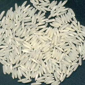 Hard Organic Sharbati Rice, Packaging Type : Plastic Bags