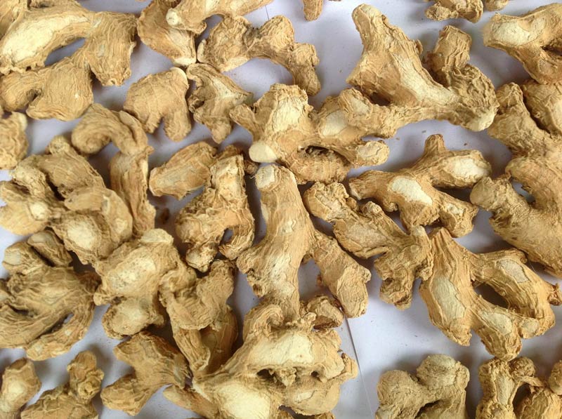 Organic dried ginger, Shelf Life : 0-1months