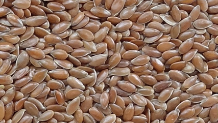 Organic Flax Seeds, Shelf Life : 3months