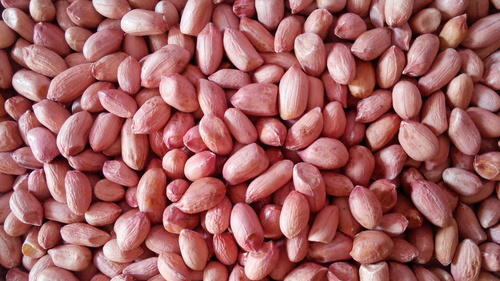 peanut kernels