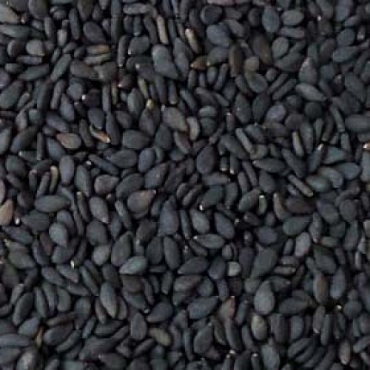 Organic Black Sesame Seeds, for Agricultural, Packaging Size : 100gm, 500gm