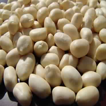 Blanched Java Peanuts, for Direct Consumption, Packaging Type : Plastic Packets