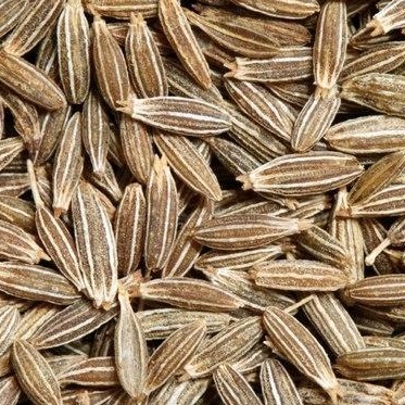 Cumin seeds, for Cooking, Packaging Type : Paper Bag