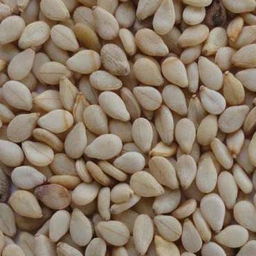 Organic Natural Sesame Seeds, Color : White / Beige