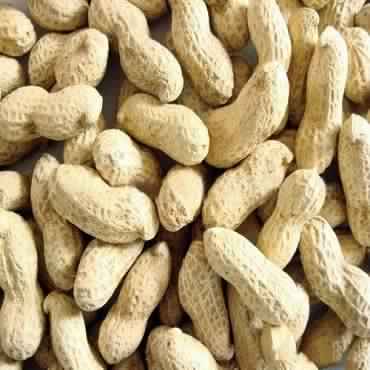 Shelled Bold Peanuts