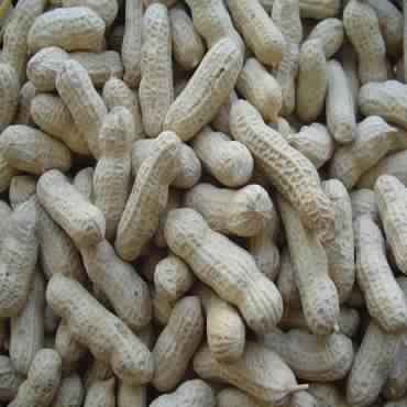 Shelled Java Peanuts