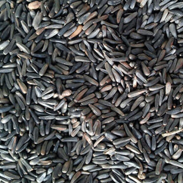 Niger Seeds, for Cooking