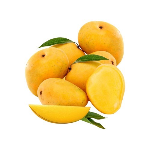 Organic Natural Alphonso Mango, Shelf Life : 5-10Days