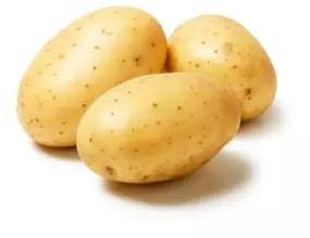 Oval Common Potato, for Cooking, Home, Restaurant, Snacks, Feature : Healthy