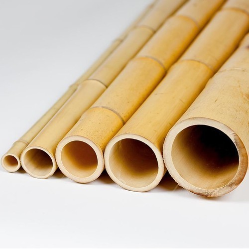 Raw Bamboo Poles