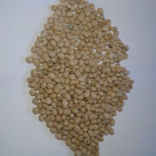 Whole Toor Dal, Packaging Size : 30 Kg
