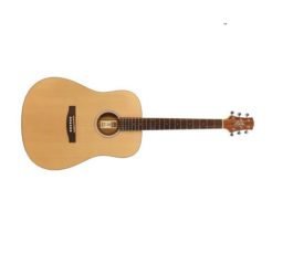 Ashton D20 Acoustic Guitar, for Playing