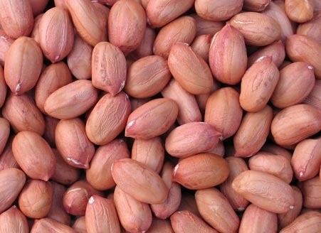 Organic groundnut seeds, Purity : 99%