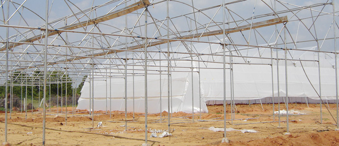 Greenhouse Shade Net Construction Service