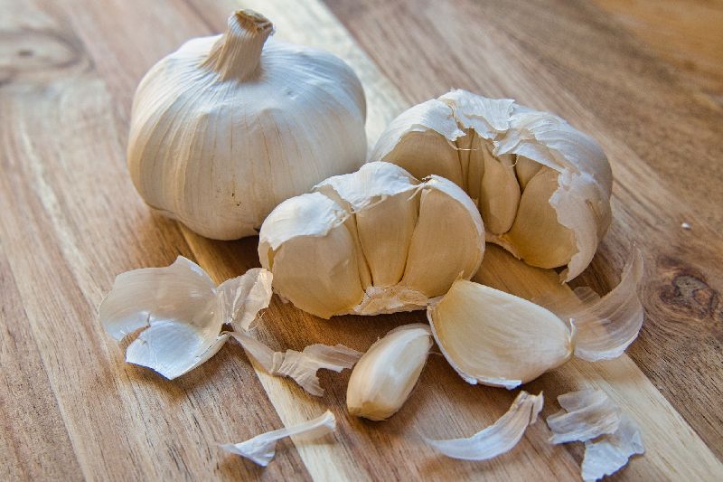 Common Organic Garlic, Size : 5.5cm