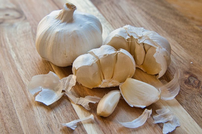 Organic Garlic