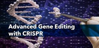 CRISPR Advanced Course