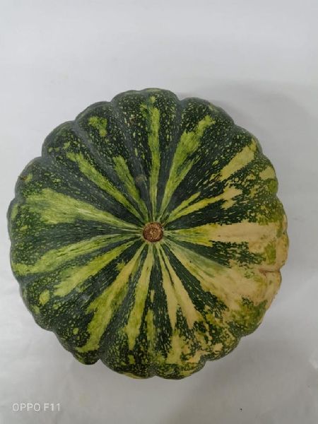 Fresh Green Pumpkin, Packaging Size : 10-20kg, 30-40kg, 40-50kg
