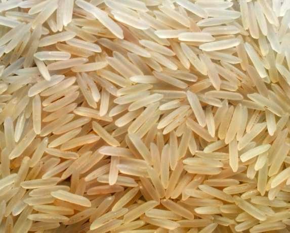 1509 Golden Sella Basmati Rice