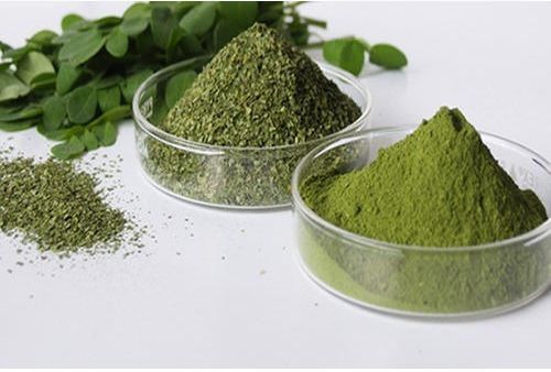 Organic Dried Moringa Leaves Powder, Packaging Type : Paper Packet