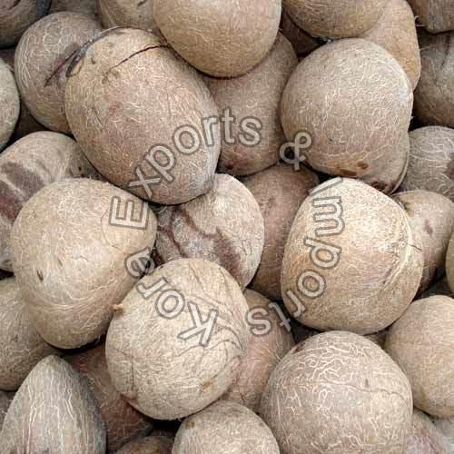 Whole Copra Coconut Buy whole copra coconut for best price at INR