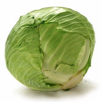 fresh cabbage