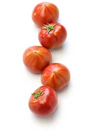 Common Fresh Tomato, for Cooking