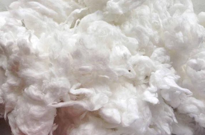 Comber Noil Cotton Waste