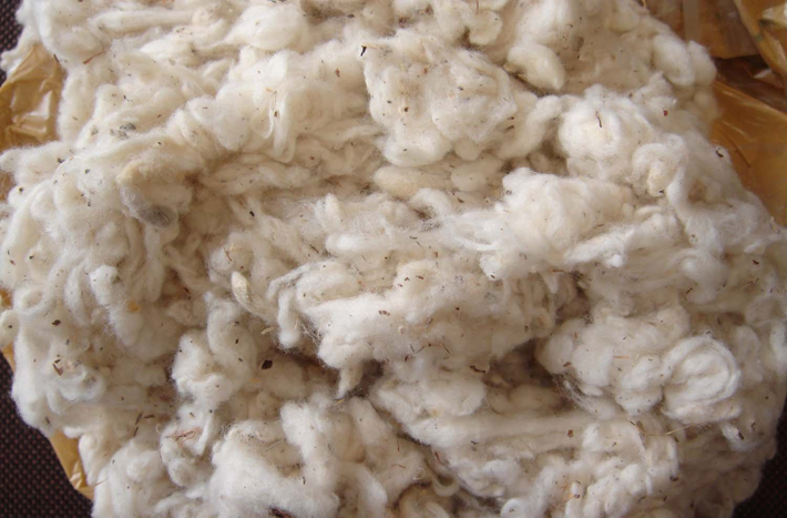 Plain Dropping Cotton Waste, Technics : Woven