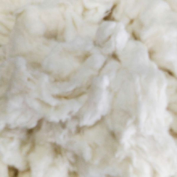 Raw Cotton Waste, for Industrial, Technics : Knitted