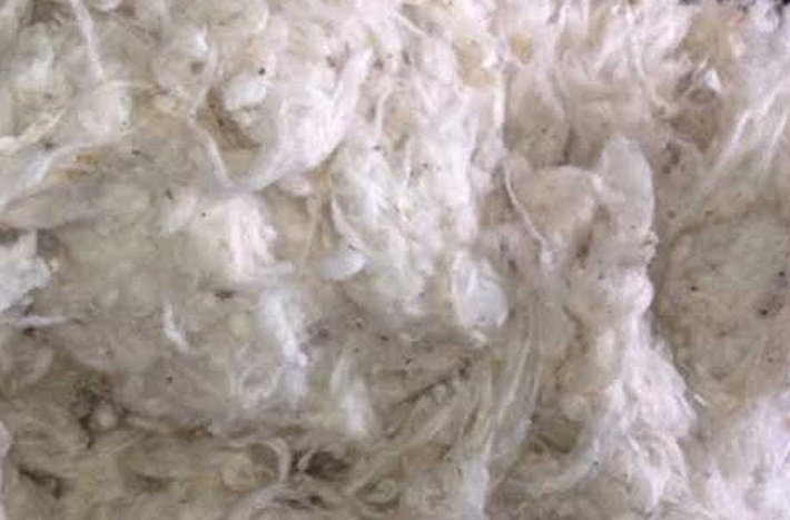 Recycled Cotton Waste