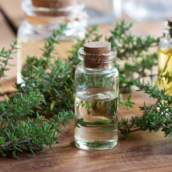 Organic Thyme Oil, Shelf Life : 3months