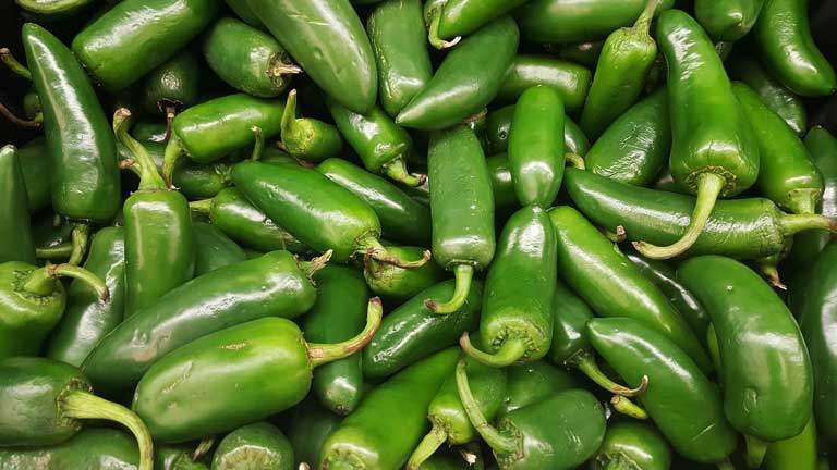 Fresh Jalapenos